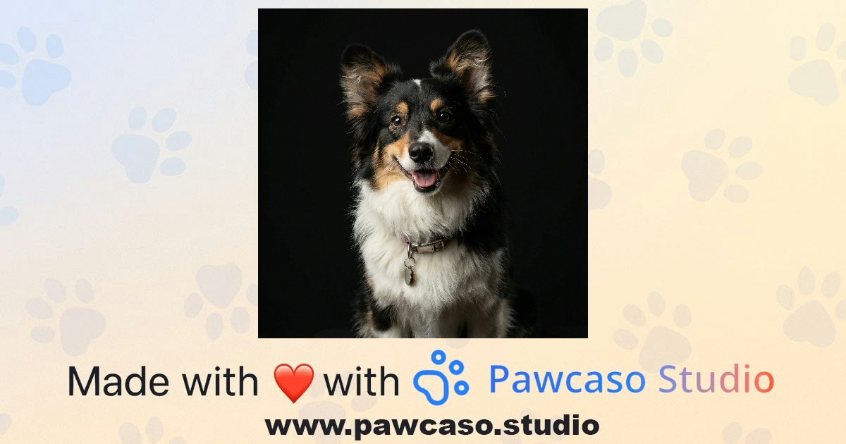 Opal's Studio Portrait Portrait | Pawcaso Studio | Pawcaso Studio