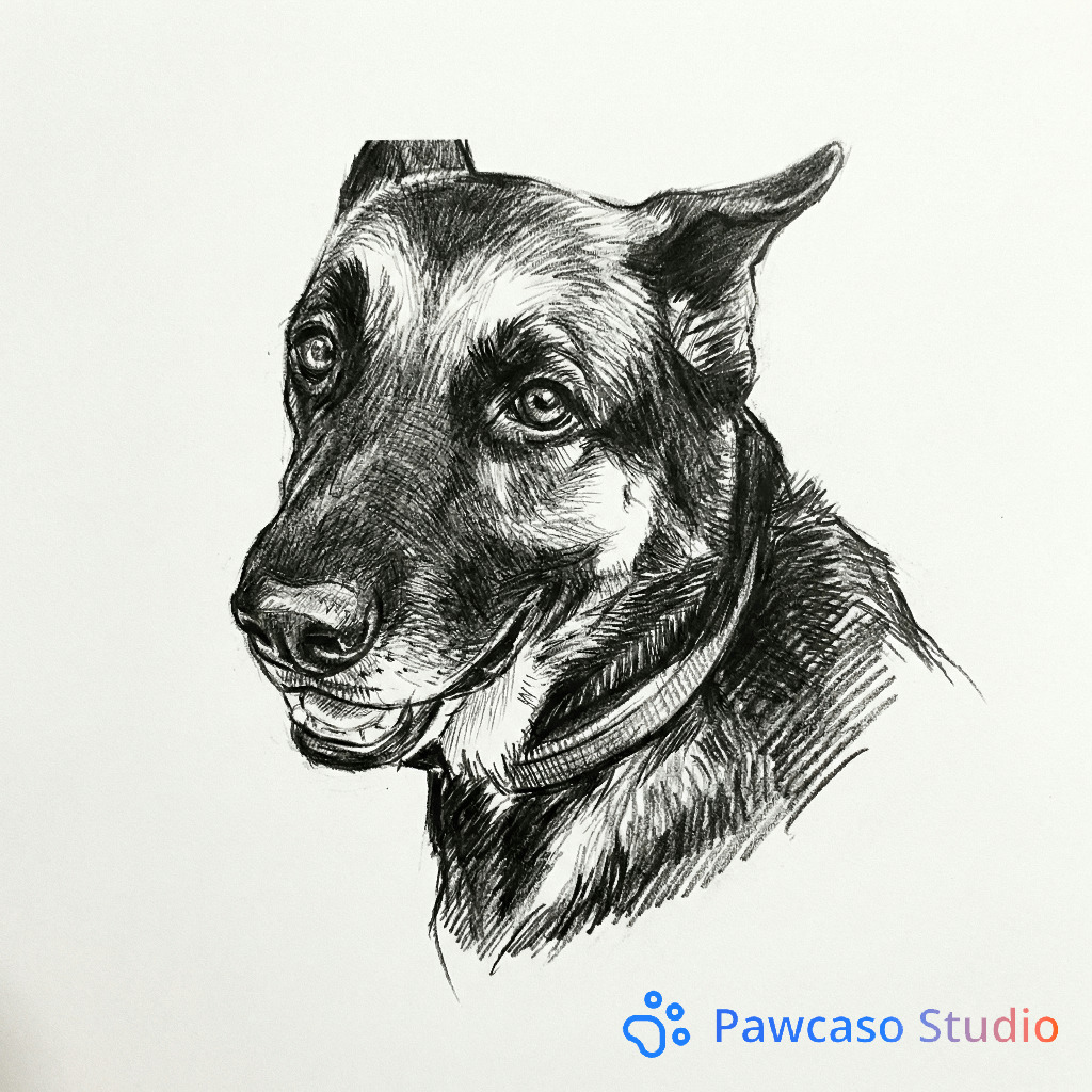 Sombra's Charcoal portrait