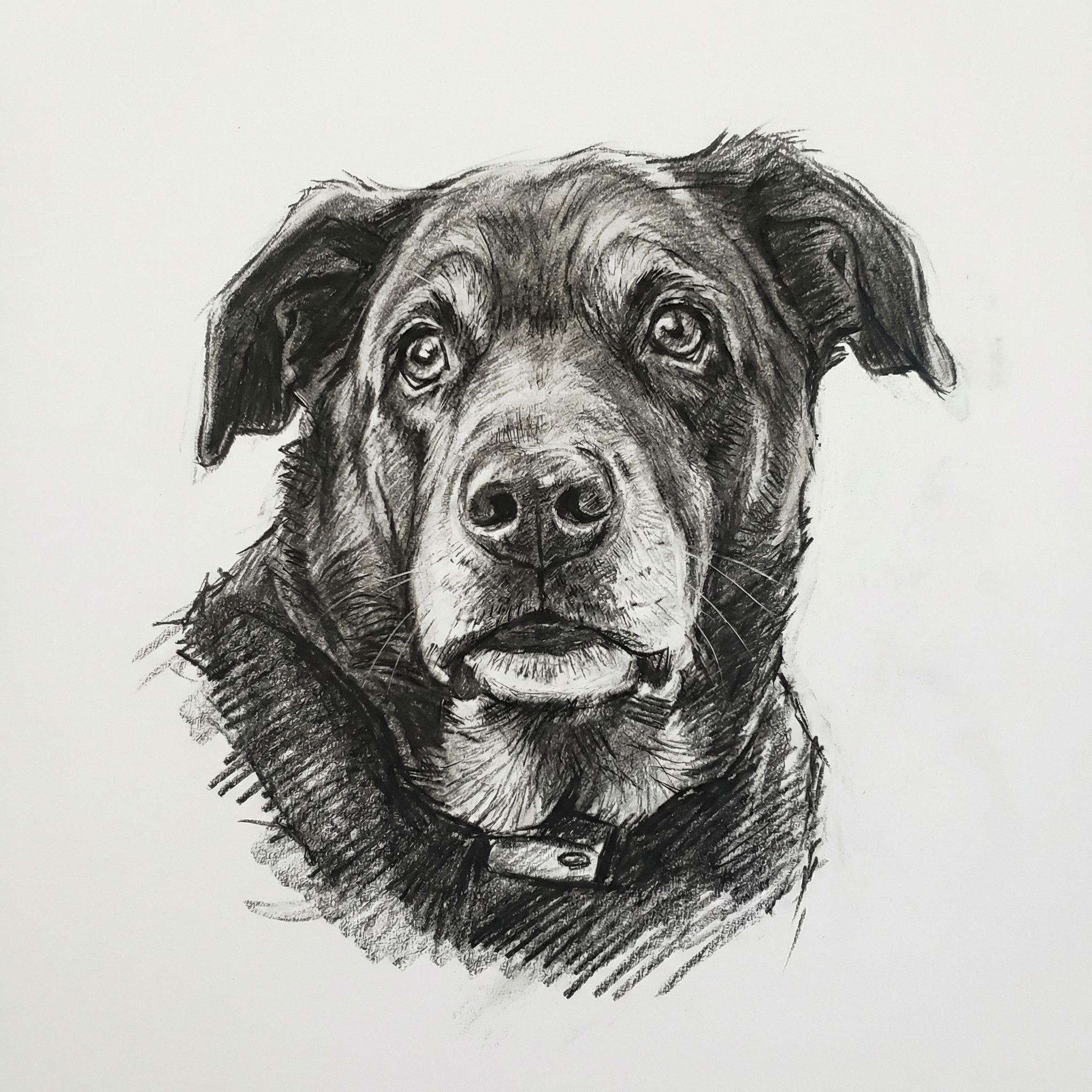 RaliJason1's Charcoal portrait