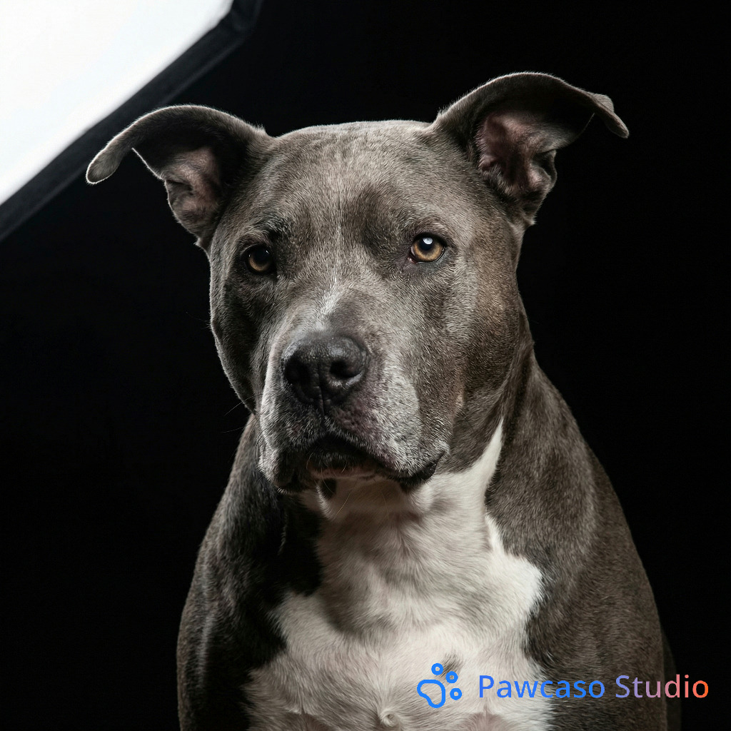 Ben Kenobi's Studio Portrait portrait